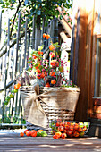 Basket lushly planted with autumn-flowering plants (physalis, heather)