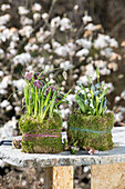 Snake's head fritillaries, grape hyacinths, striped squill and snowdrops in moss