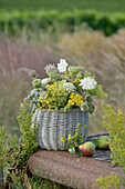 Basket of Queen Anne's lace seed heads, yarrow, tansy and wild fennel