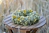 Summer wreath tied on a straw wreath base (hydrangea, poppy seed heads, tansy, Queen Anne's lace) - dried wreath