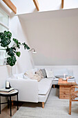 Bright attic living room with white sofa and monstera plant