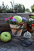 Flower arrangement with apple in a flower pot