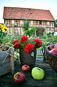 Bouquet of dahlias and apples on garden table with old barn in the background