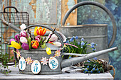 Zinc watering can filled with tulips and decorated with paper Easter eggs