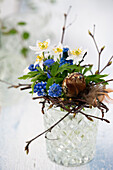 Easter posy with grape hyacinths in glass vase