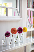Windowsill with colorful dahlias in jars
