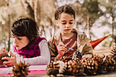 Girls decorating pine cones with watercolor painting at table in park