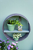 Flower decoration, flour sifter, shelf, brush, flower pots with ivy and aster
