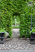 Garden gate with high beech hedge