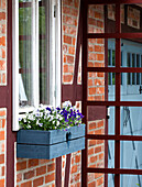 Blau gestrichener Blumenkasten an Backsteinfassade