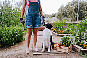 Woman with border collie standing in vegetable garden