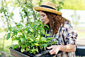 Mature female farmer smelling green plants on tray at community garden