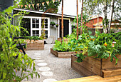 Vegetable garden in wooden raised beds, in the background a small wooden house