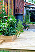 Raised bed of vegetables on terrace