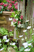 Bouquet of columbine, lilac, chickweed and red hawthorn in a glass bottle hung on a tree trunk