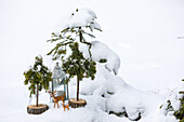 DIY miniature trees and animal figures in snowy landscape