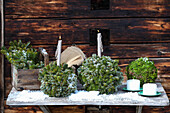 DIY ball-shaped winter arrangements of conifer branches with candles