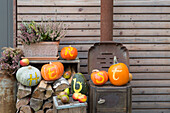 Autumn decorations with labelled pumpkins and firewood in front of a wooden wall