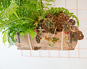 Copper lattice with wooden planter box with houseplants
