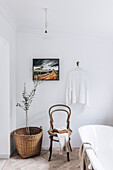 Coffee house chair and olive tree in basket in simple bathroom