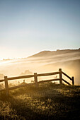 Fields and wooden fence at dawn, NSW, Australia