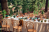 Festively set table with pastries and wine in the forest