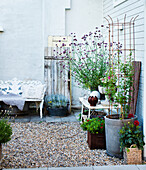 Small table with garden ornaments and potted verbena, garden bench against house wall