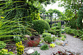 Well-tended garden with a variety of plants and gravel path