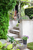 Treppe mit Topfpflanzen im grünen Vorgarten