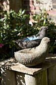 Vogelstatuen aus Stein in einem Hofgarten in Rye, Sussex