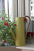 Watering can and wineglasses with houseplants on Arundel windowsill