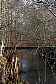 Footbridge over forest stream bare branches in foreground