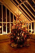 Lit Christmas tree with gift wrapped presents in high-ceilinged conservatory