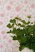 Detail of houseplant by the wall with patterned wallpaper