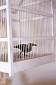Toy bird in white wood bird cage