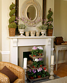 A detail of a traditional sitting room fireplace surrounded by potted plants and with an ornate oval mirror above the mantelpiece