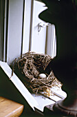 Bird's nest with egg