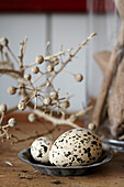 Speckled eggs and dried seed heads in Shoreham by Sea, West Sussex, UK