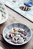 Seashells in saucer of studio of painter