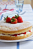 Strawberrry sponge cake in Devon home, UK