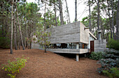 Modern concrete home in woodland, Argentina