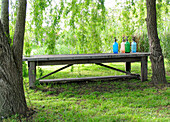 Bunte Soda-Siphons auf einem Gartentisch aus Holz in einem Garten mit leuchtend grünen Blättern
