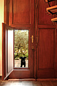 Dog looks through door panel in double height entrance