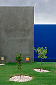 Saplings in garden with above the ground swimming pool with four walls painted blue