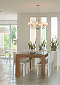 White chairs at wooden dining table below lit chandelier at window with cacti