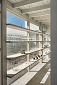 Sunlit kitchen shelving with glassware and crockery