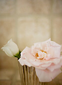 Pale pink flower head and rosebud in glass