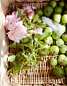 Cut roses and windfall apples in basket 