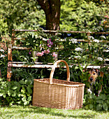 gardening basket and rusty bench in garden under tree