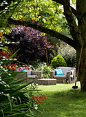 Outdoor seating below tree in summer garden
